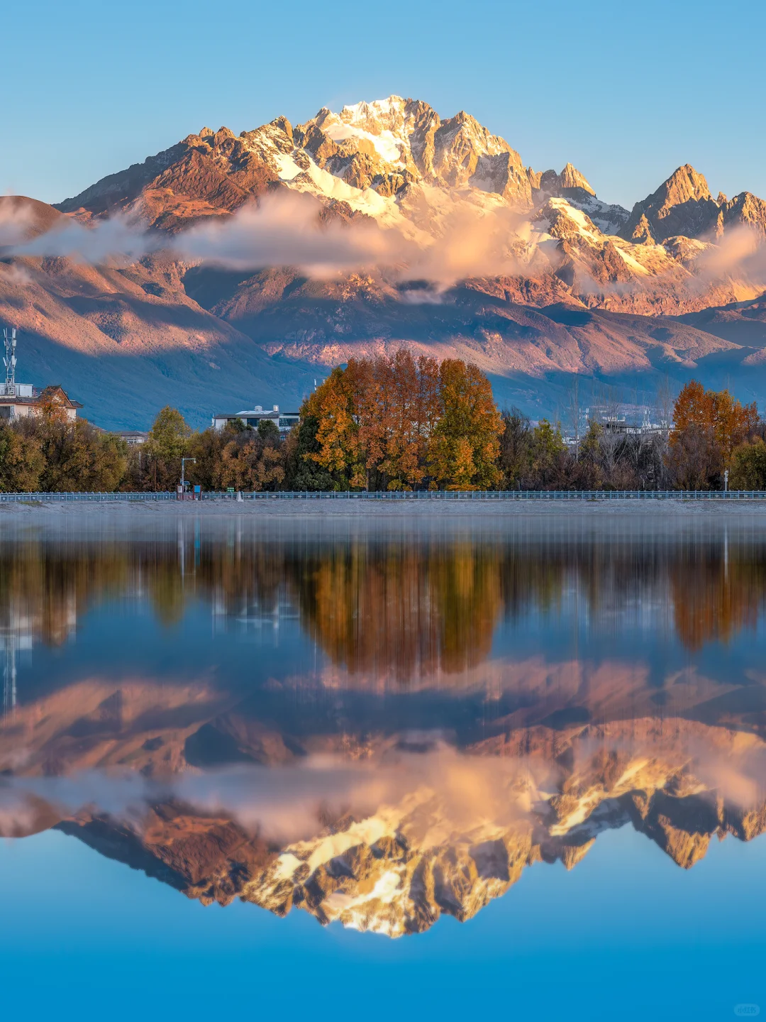 如果我在去丽江之前，刷到这篇该多好啊😭