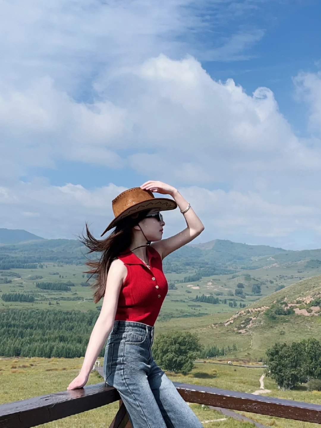 河北已回,我的建议是……