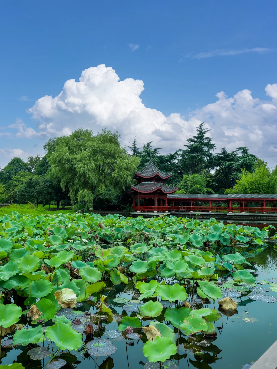 🔥长沙两天一夜攻略！必打卡景点+避坑指南