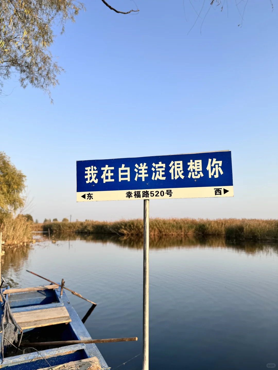 白洋淀真的别浪费雄安大批商务流动人口