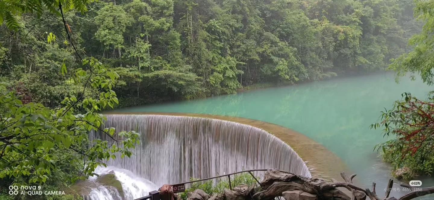 荔波小七孔景区今日实况