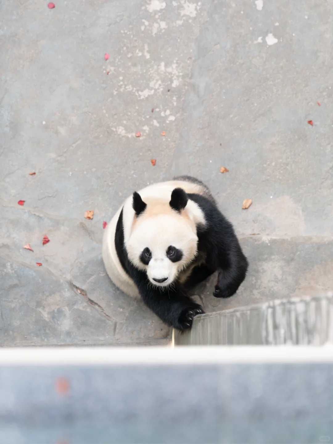 杭州1h直达！值得N刷的宝藏小城！春日攻略✅