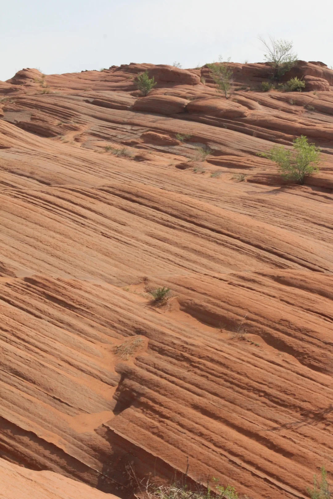 榆林波浪谷——戈壁的形状