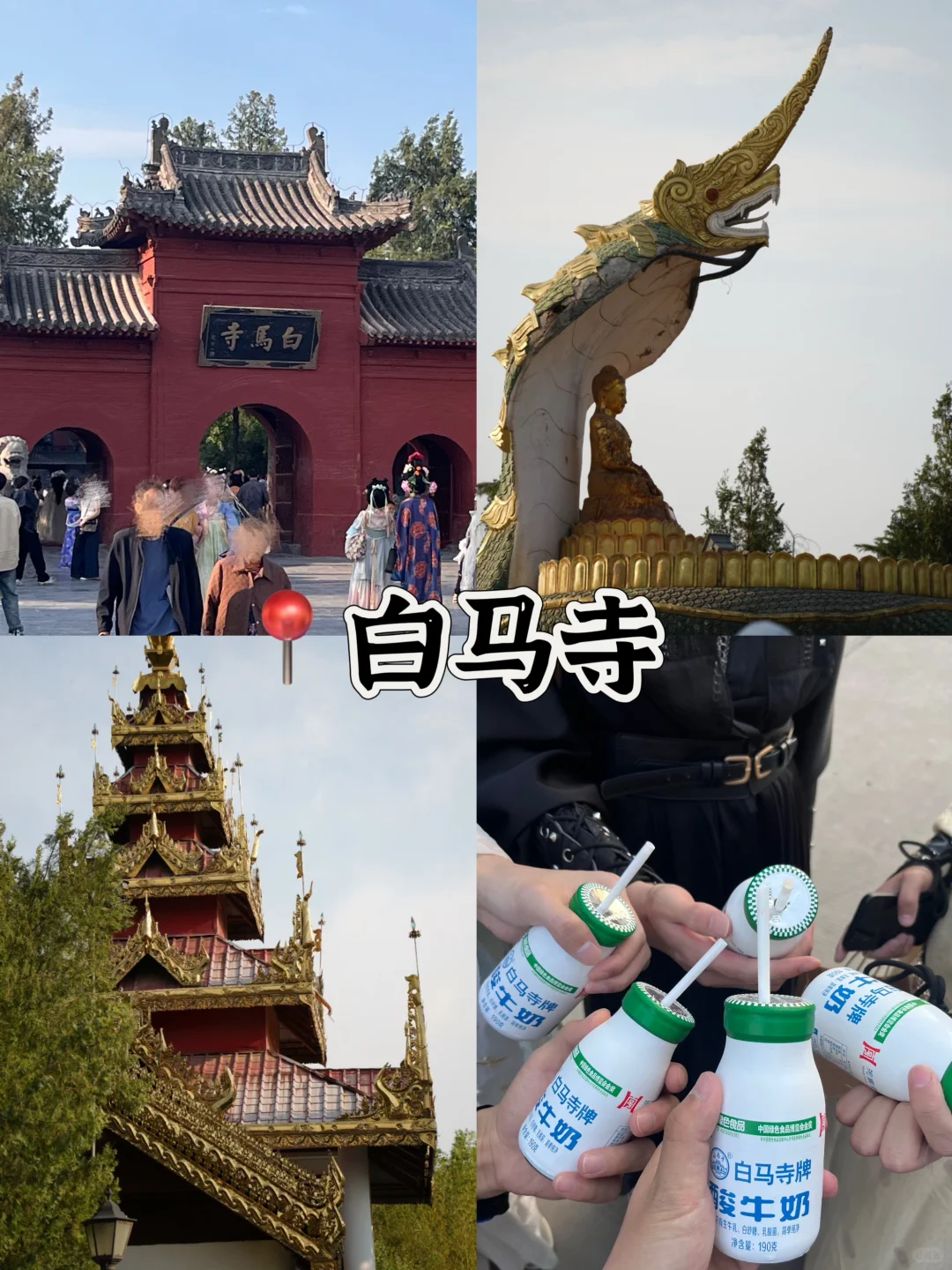 03男大📍洛阳三天两夜‼️不踩雷旅游指南