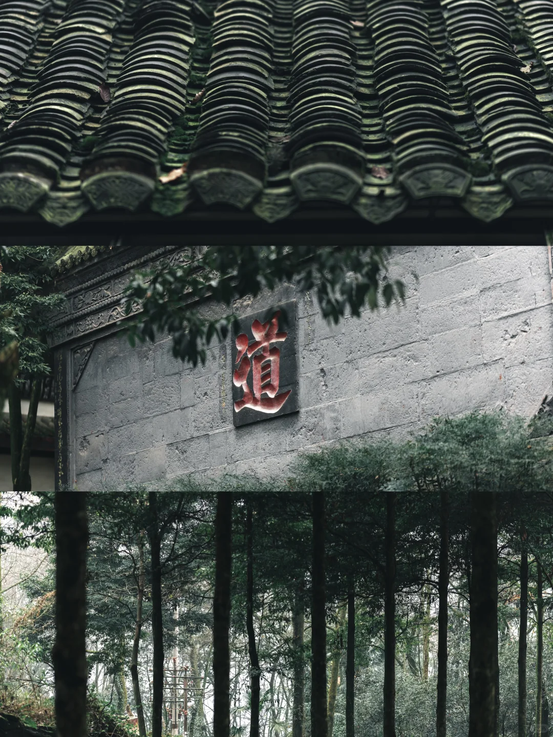 📷拜水都江堰，问道青城山