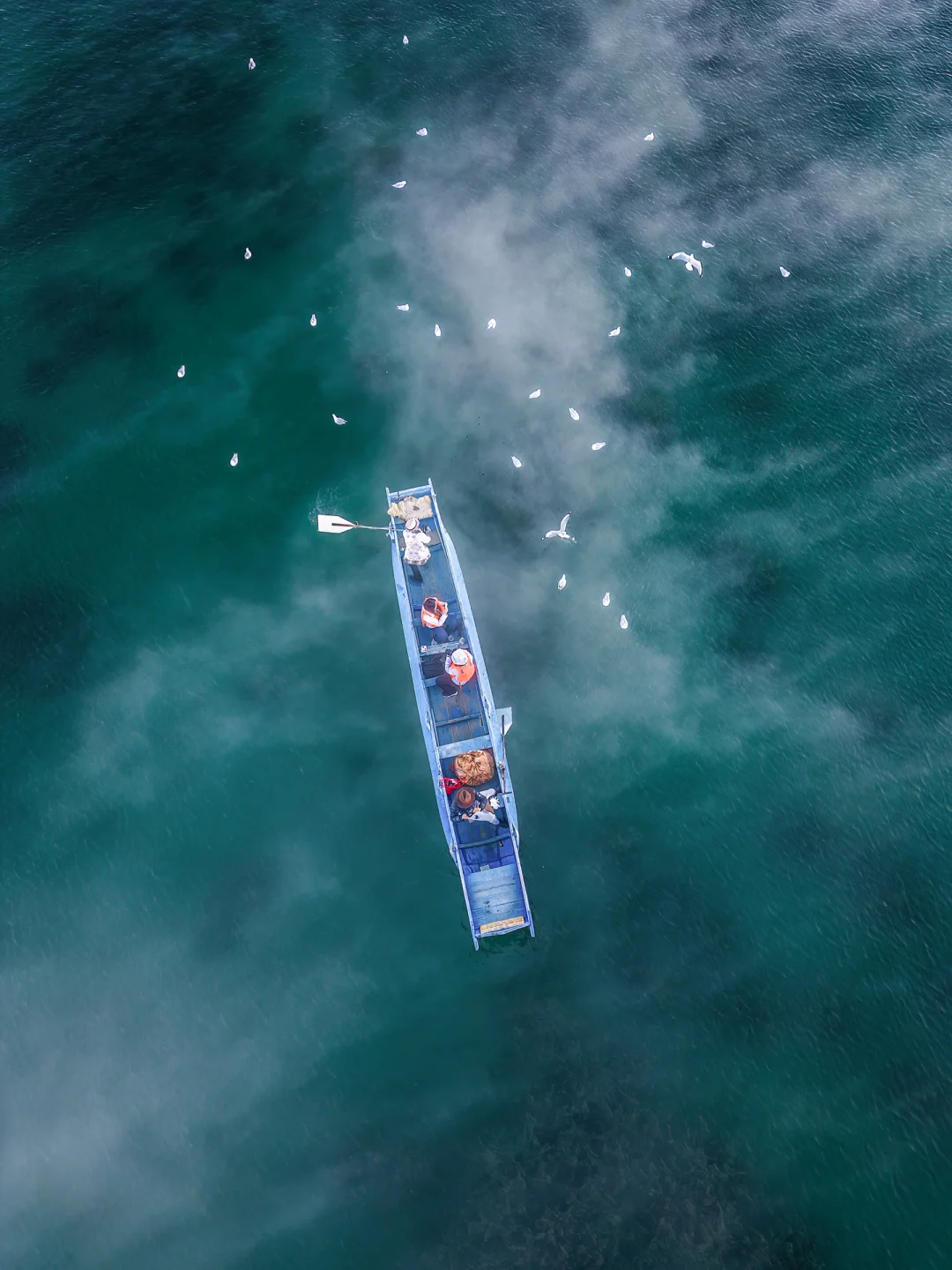 如果我在去丽江之前，刷到这篇该多好啊😭