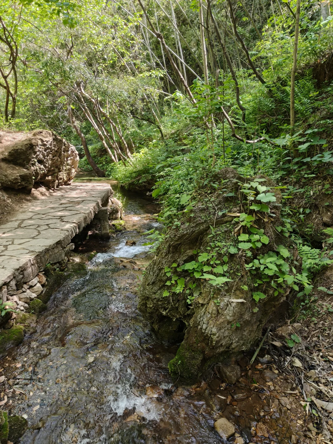 许昌周边每周一山⛰️之金鸡河