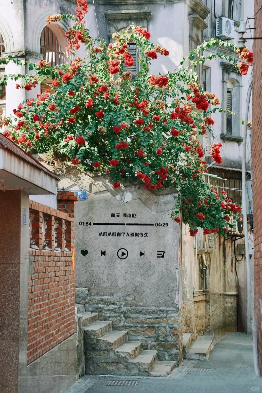 厦门旅游攻略，直接抄作业✓