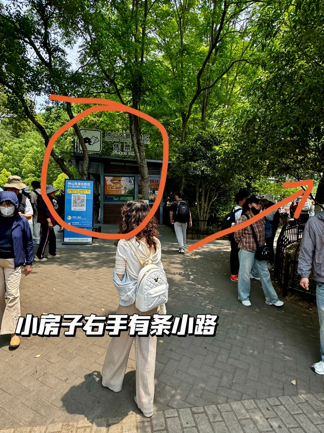 南京梧桐大道网红桥打卡路线指南（步行版）