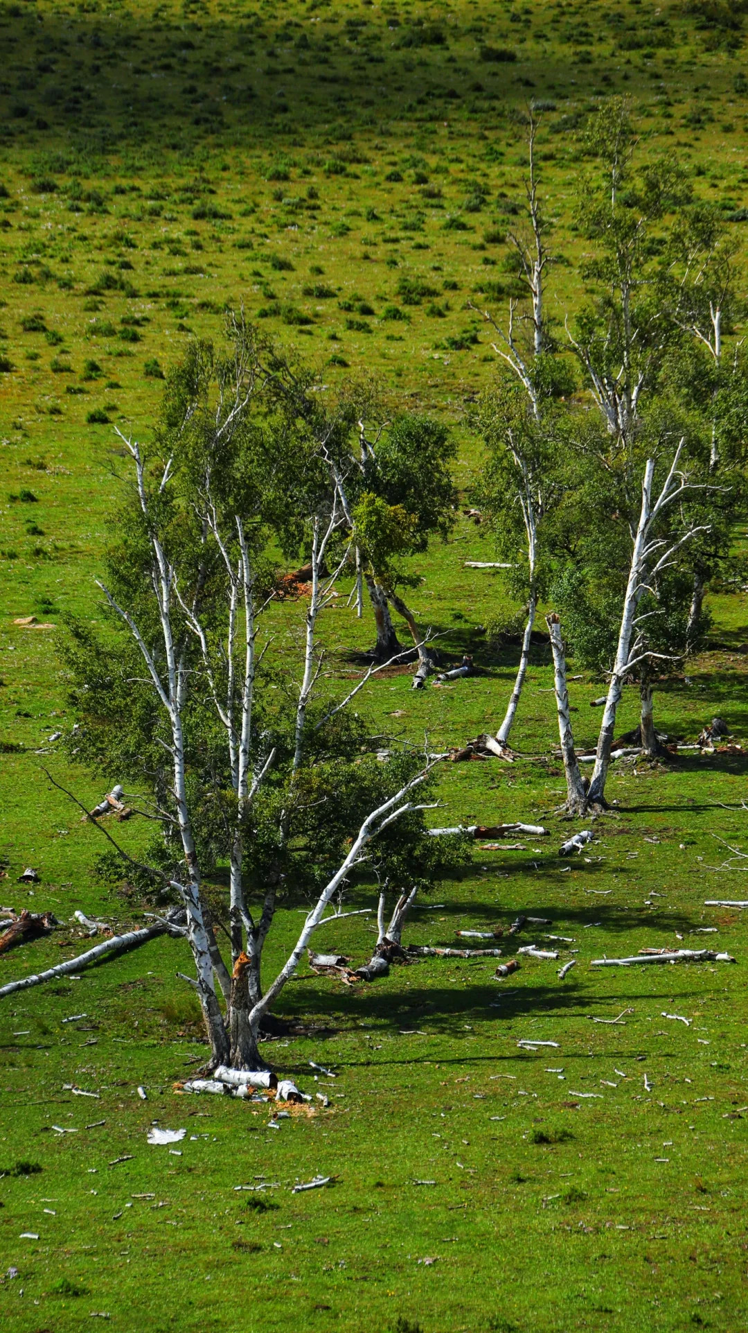 突然火爆的大青山 成为今年北京户外圈压轴