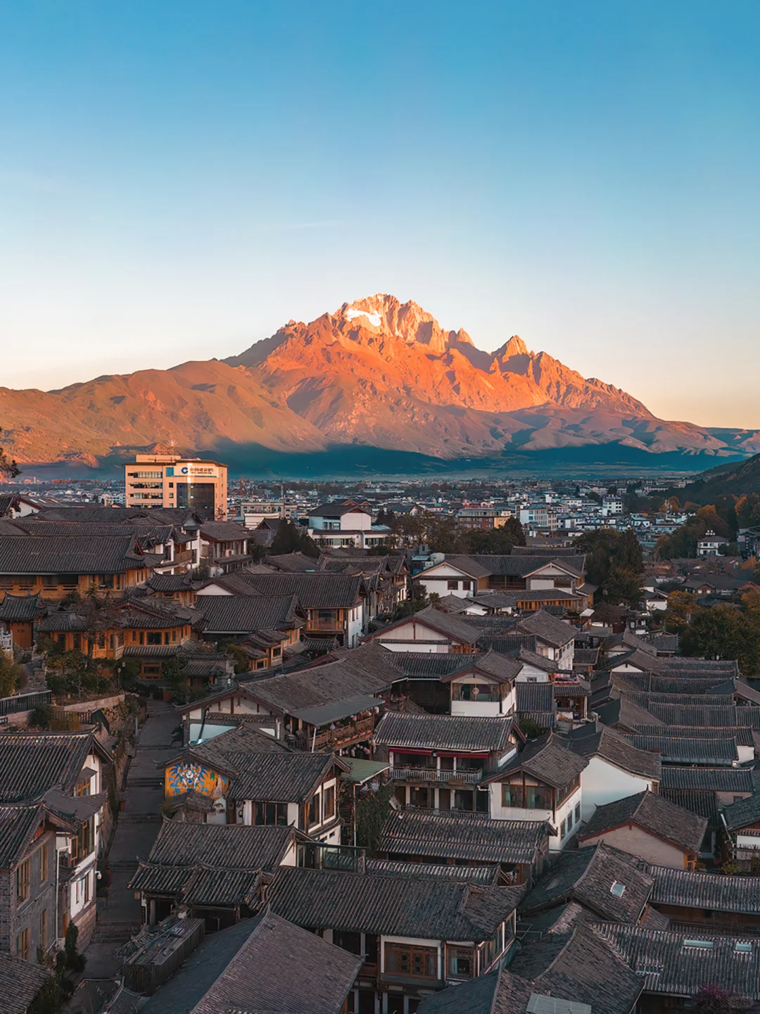 如果我在去丽江之前，刷到这篇该多好啊😭