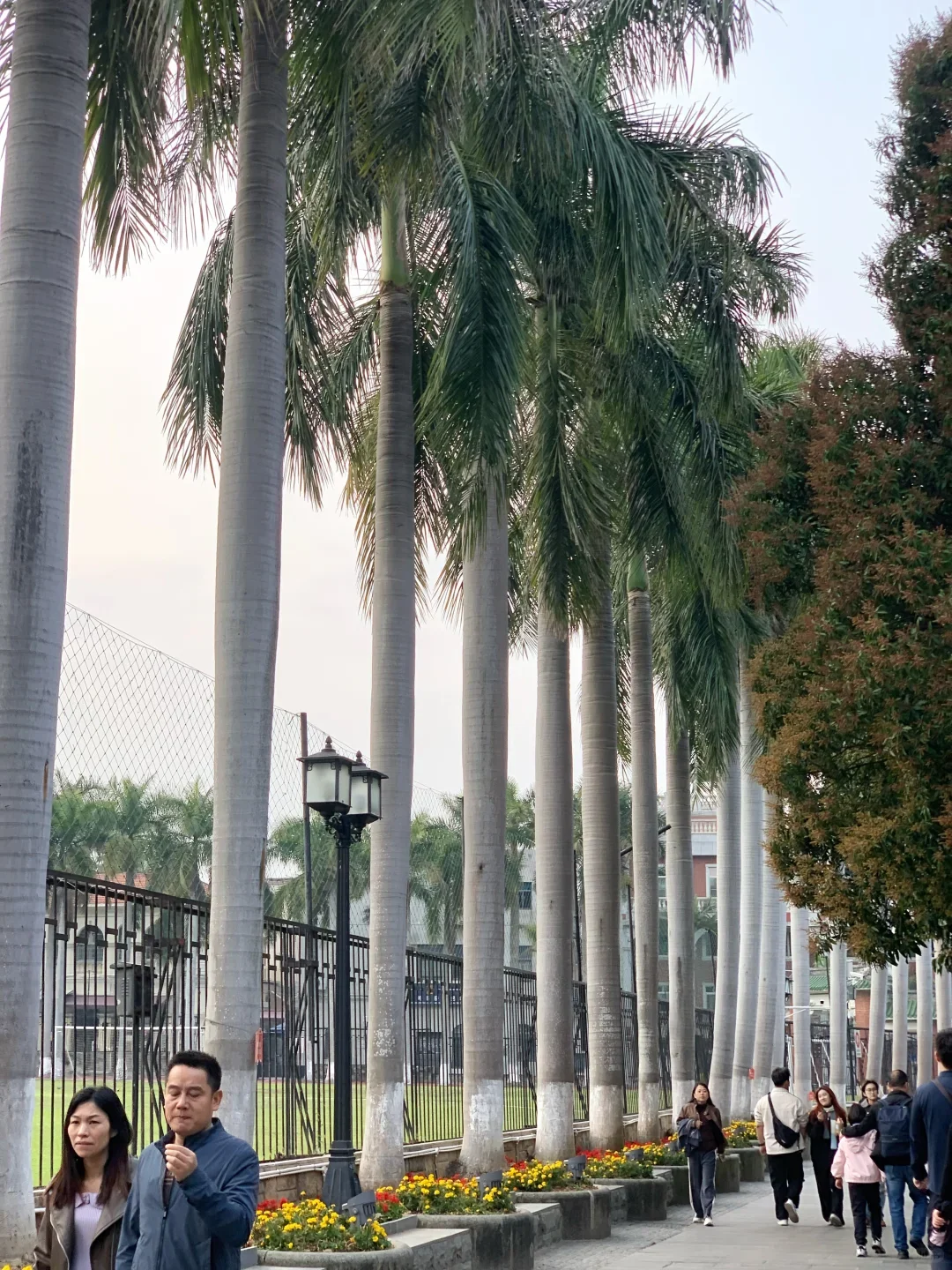 厦门旅游攻略，直接抄作业✓