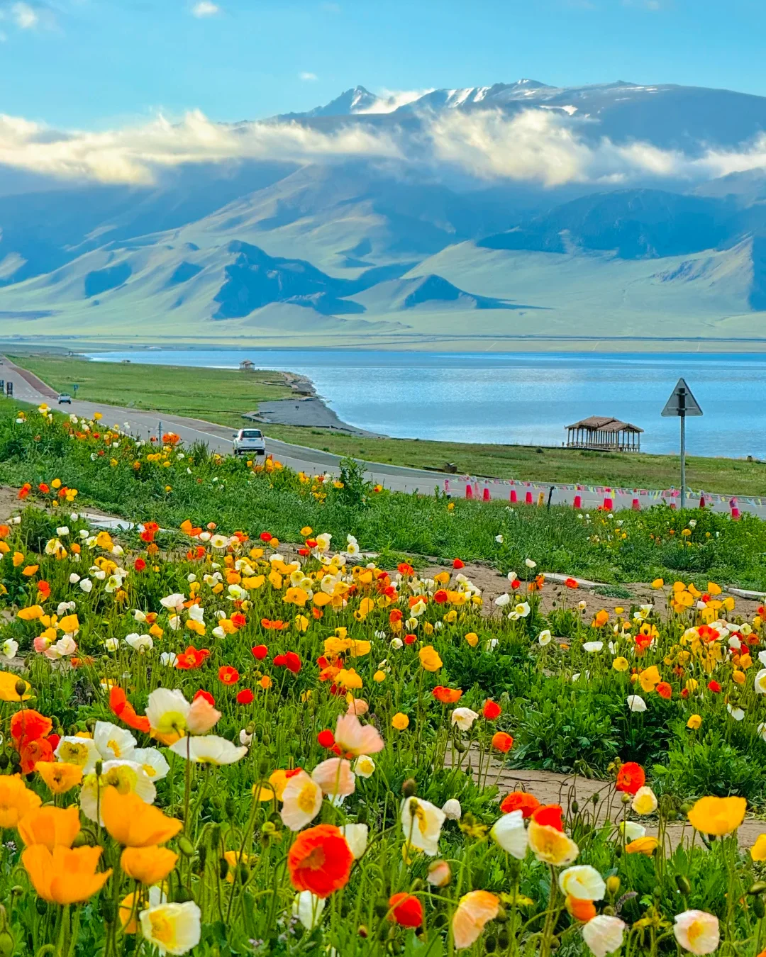 实话难听,但这就是新疆旅游真实现状😥