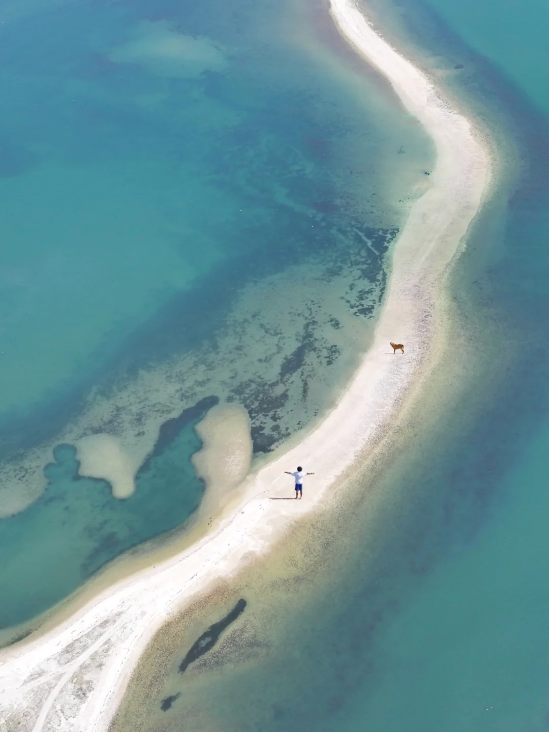 朋友圈问疯的地方❗不是国外❗ 是山东❗