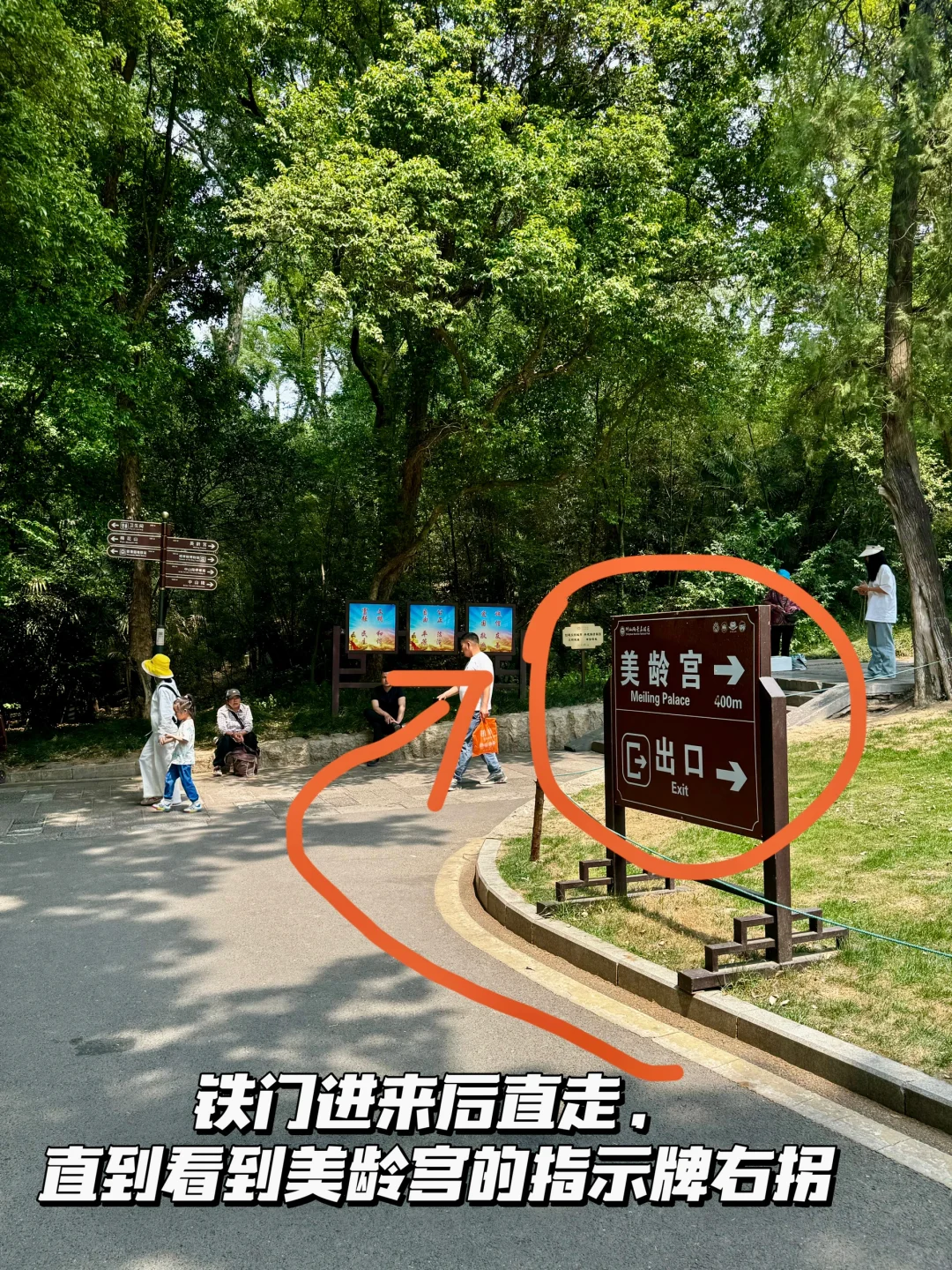 南京梧桐大道网红桥打卡路线指南（步行版）
