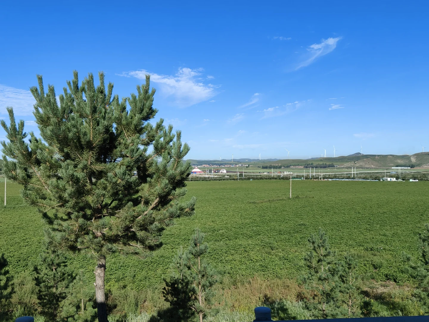 河北已回,我的建议是……