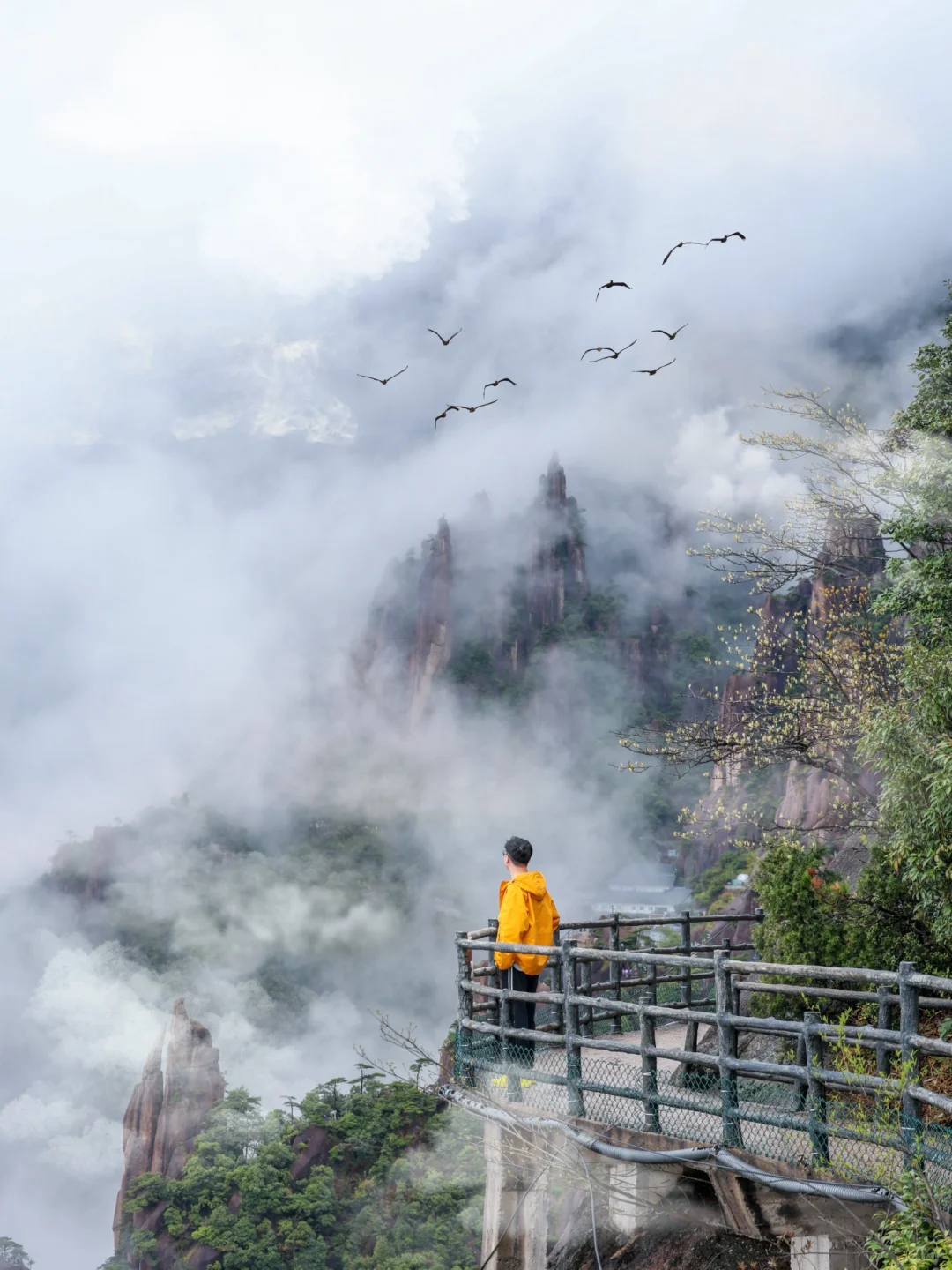 live野心友好❗️我在三清山拍到《千里江山图》