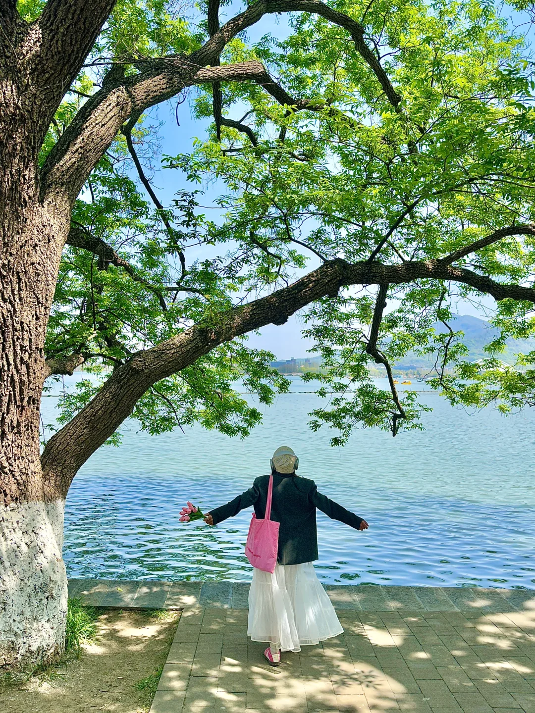 南京最好的地方都是免费的😂。。。