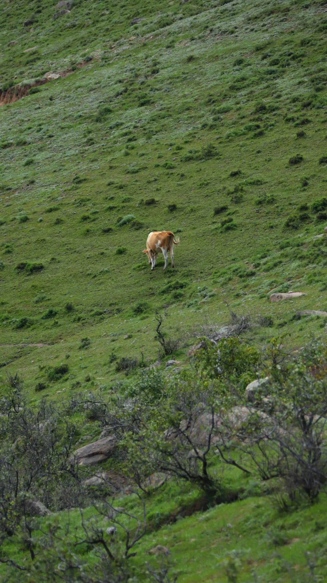 突然火爆的大青山 成为今年北京户外圈压轴