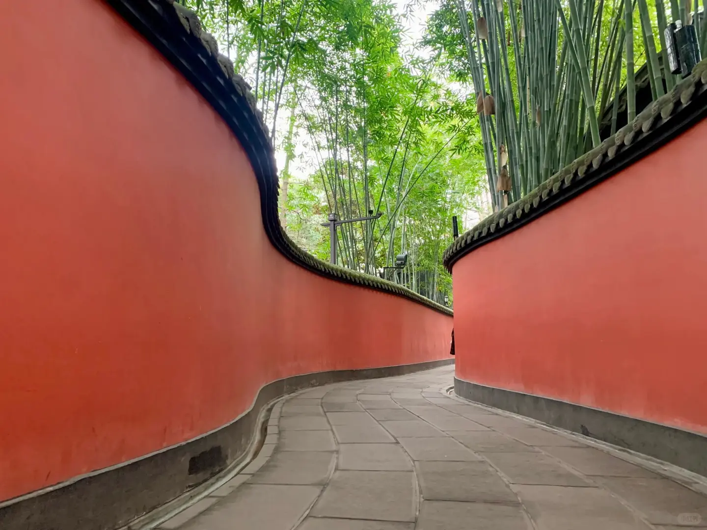 成都去了，真的哭晕😭在街头...