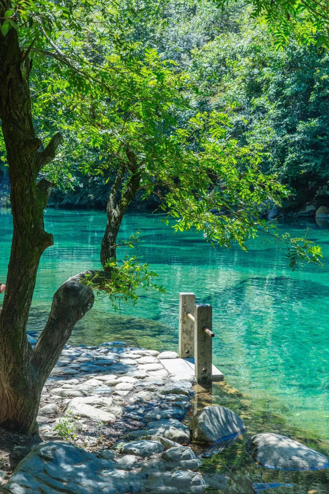 闯入5月绿野仙踪！