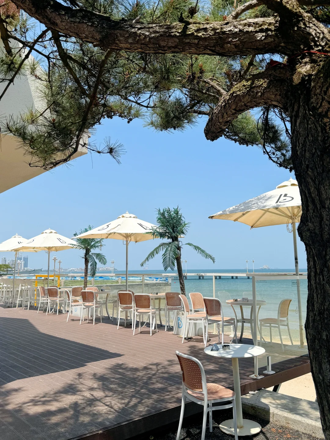 烟台你也太低调了吧⛱️⛱️⛱️