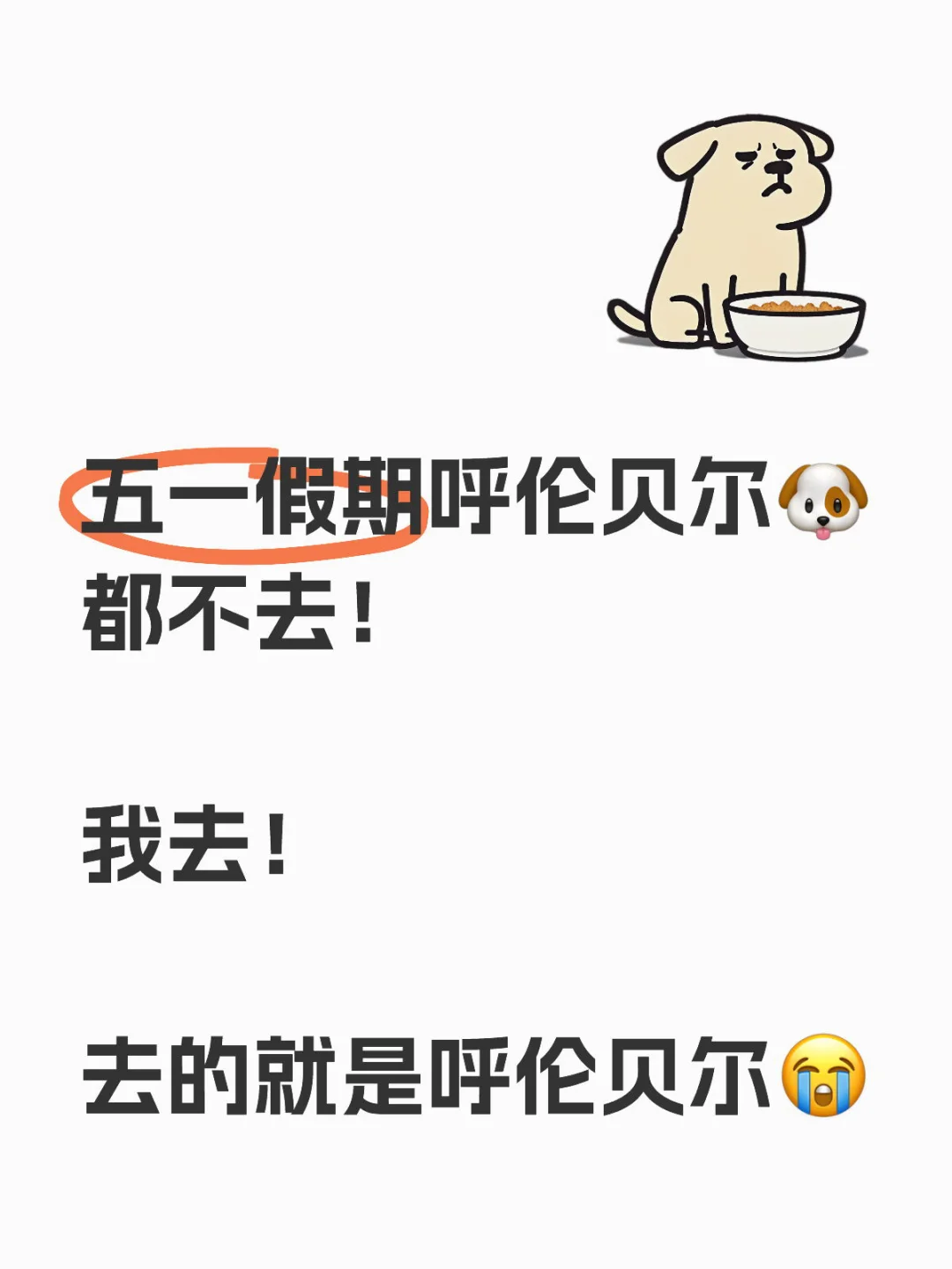 五一假期🐶都不去的呼伦贝尔,我去!🙋♂️