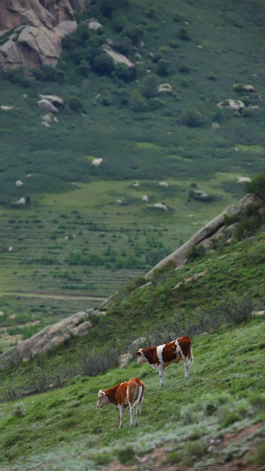 突然火爆的大青山 成为今年北京户外圈压轴