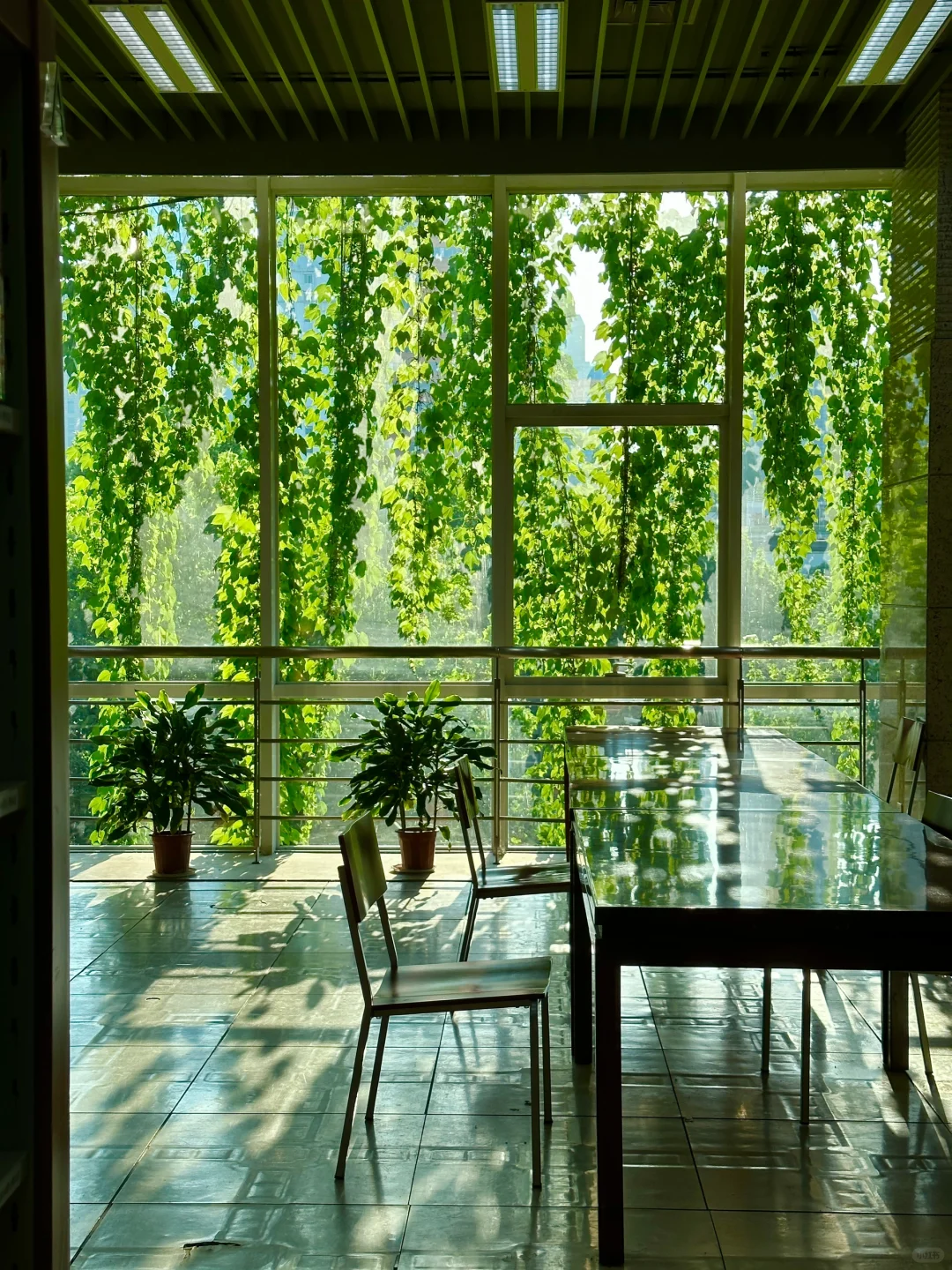 南京最好的地方都是免费的😂。。。