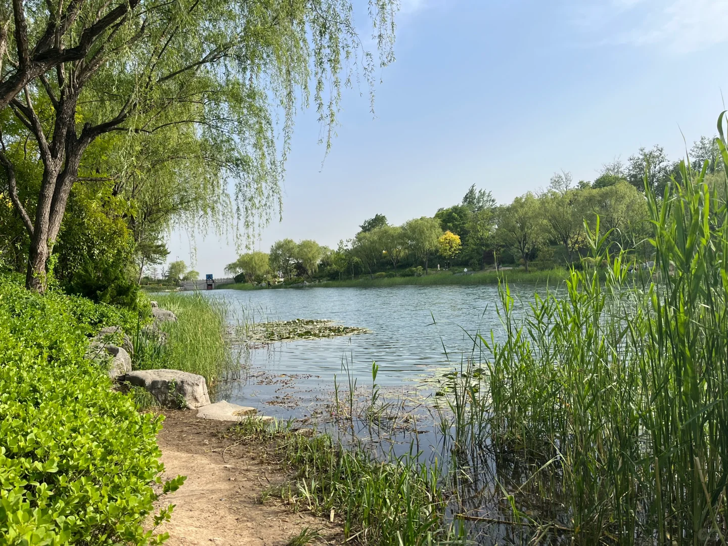 邯郸近郊宝藏景区，周末好去处。