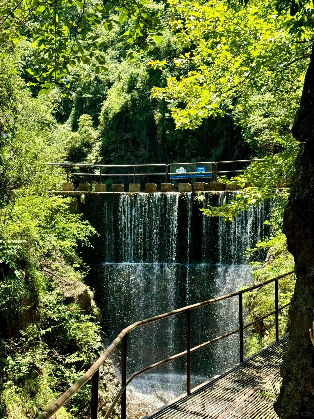 不是九寨沟！这是杭州！！16 ℃避暑胜地🍃
