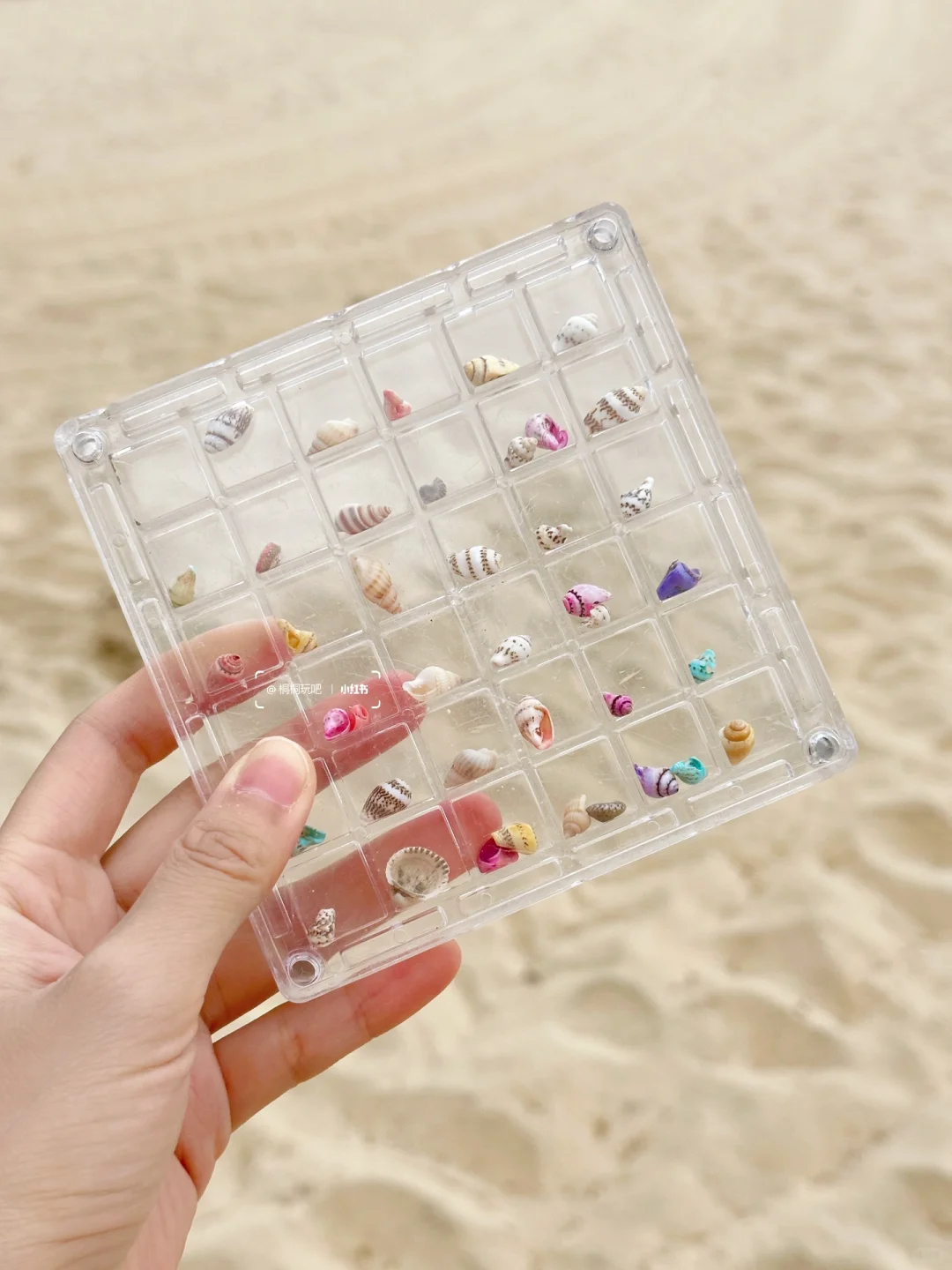 今年暑假，我只带娃去一个地方：陵水！🏖️