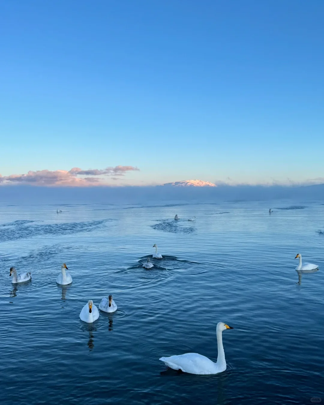 实话难听,但这就是新疆旅游真实现状😥