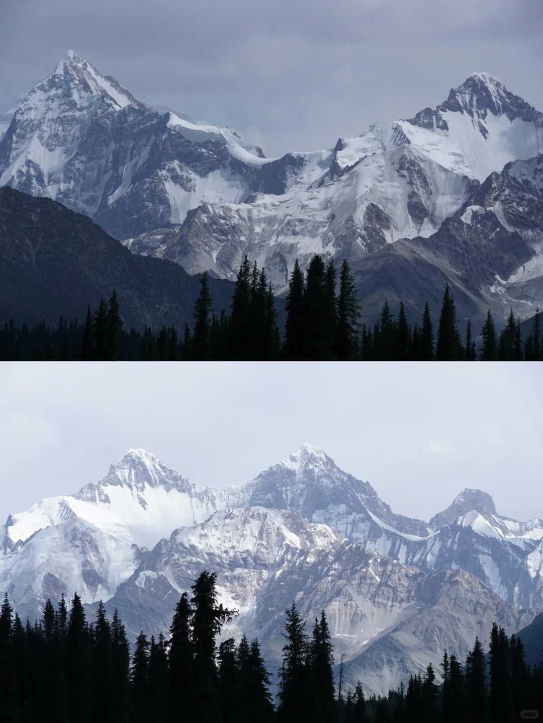 伊犁草原真没必要去太多