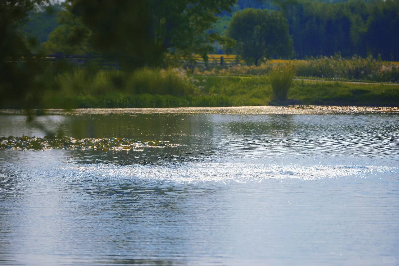 误入“宫崎骏漫画”世界