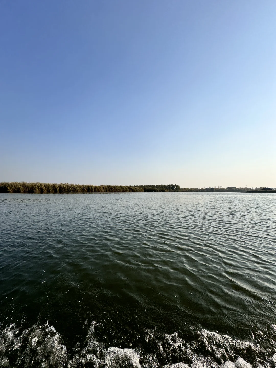 白洋淀真的别浪费雄安大批商务流动人口