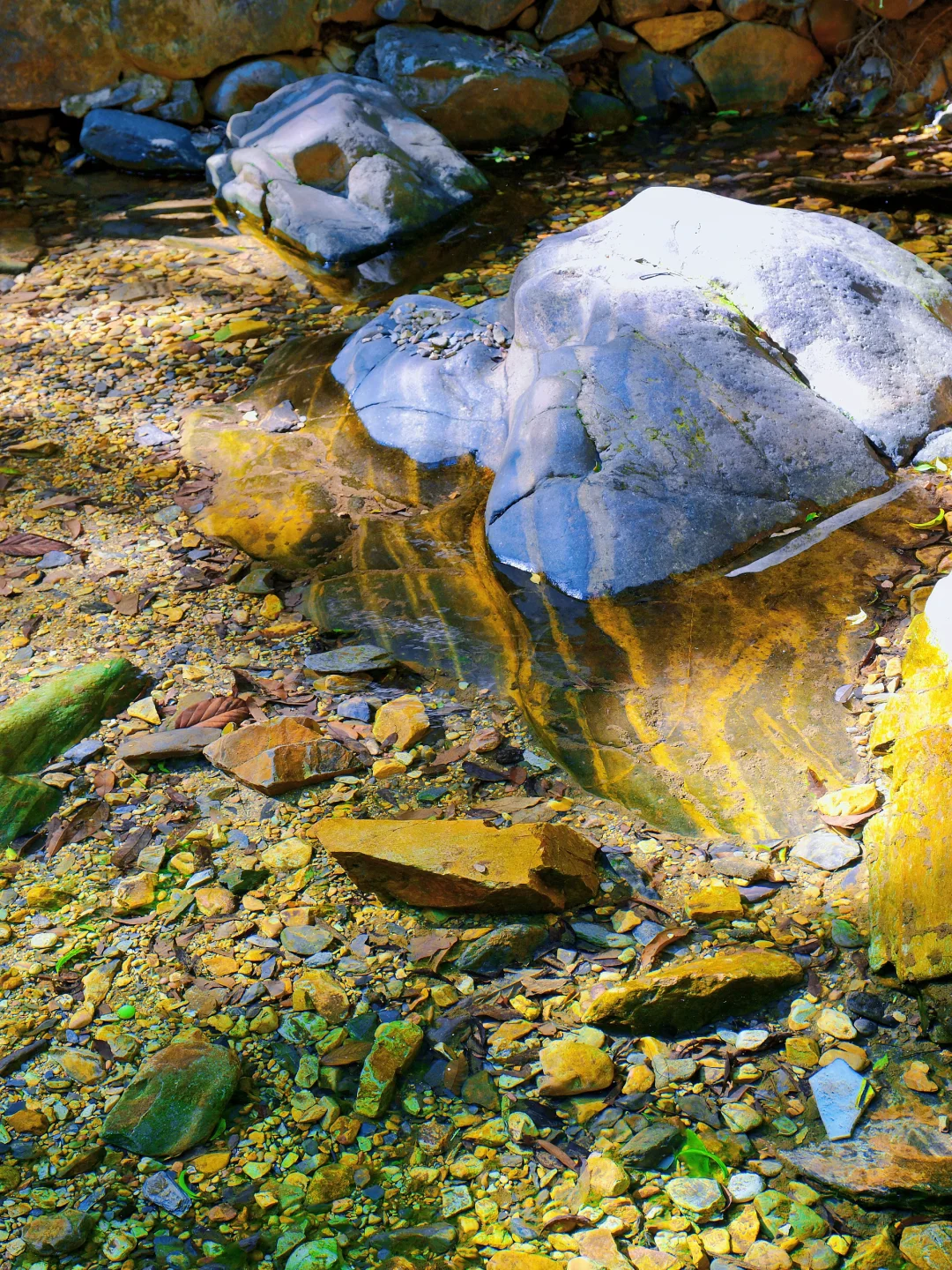 肇庆鼎湖山真的美到我心巴上了（省钱攻略！）