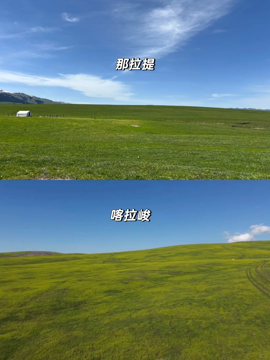 知道大家为什么避雷那拉提了（不是避雷帖）