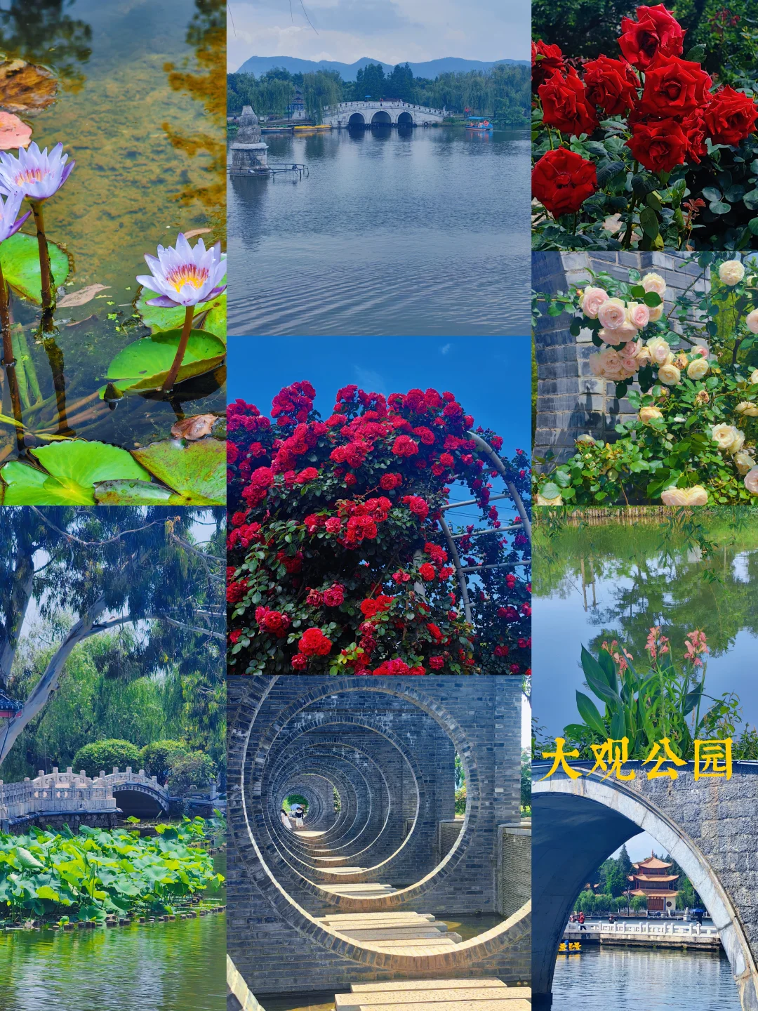 保姆级昆明旅游攻略 不起早 干货避雷分享