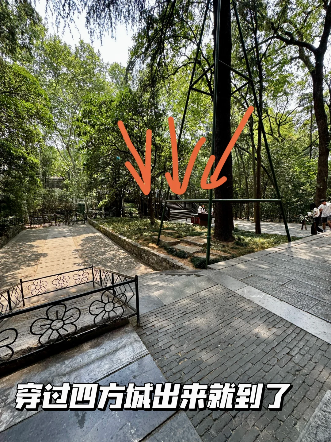 南京梧桐大道网红桥打卡路线指南（步行版）