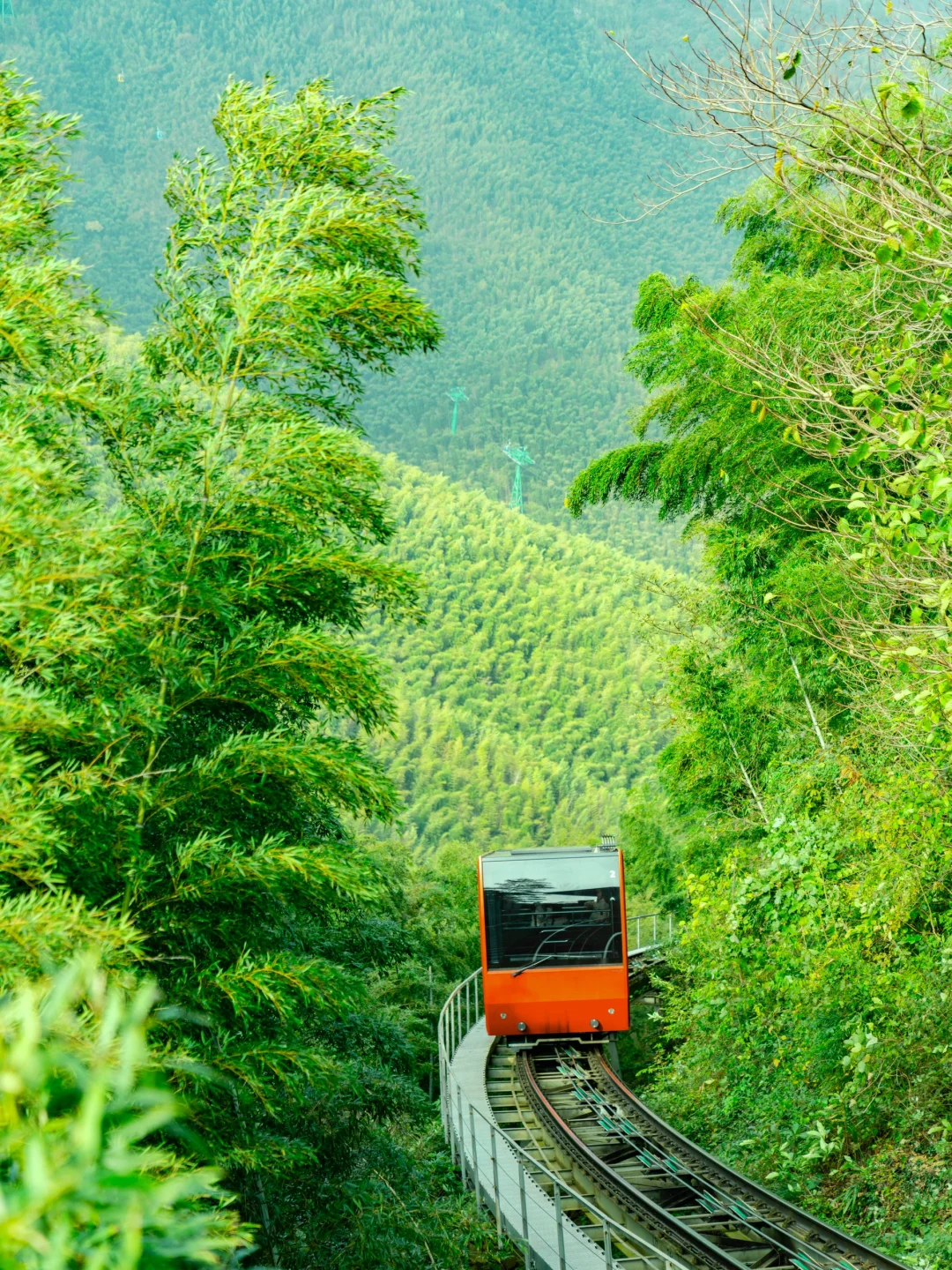 杭州1h直达！值得N刷的宝藏小城！春日攻略✅