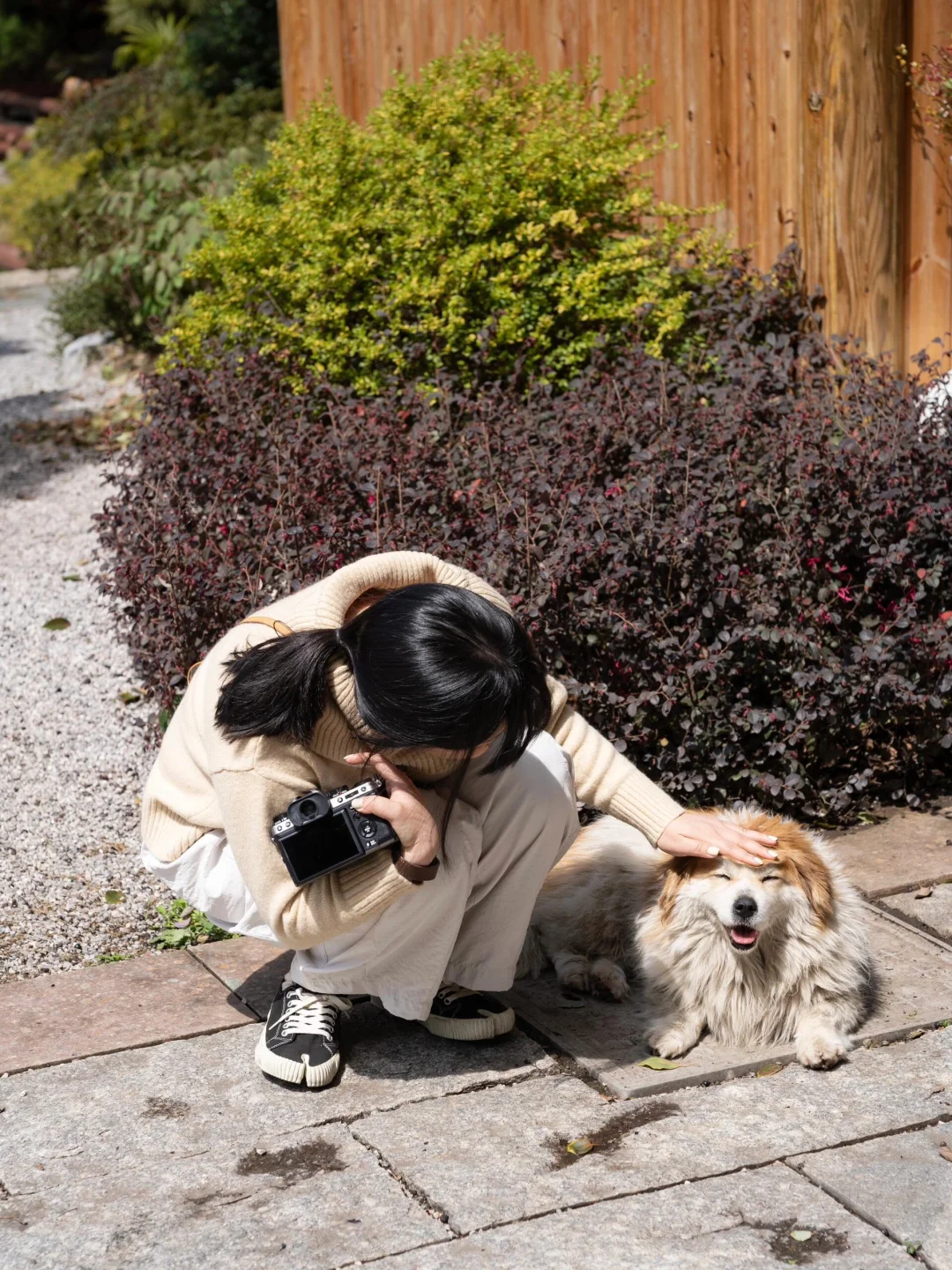 🥺又在江西见世面的一天。。。