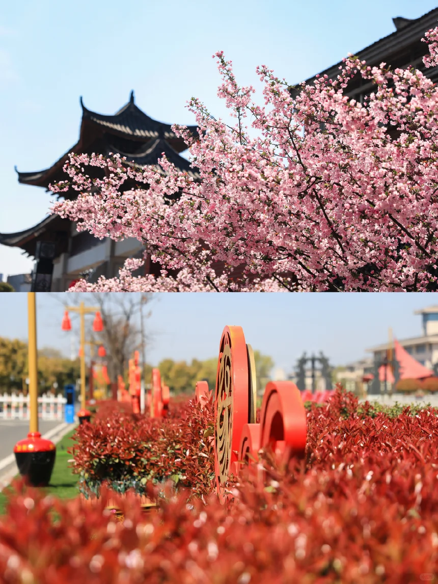 淮安旅游必去十大景点✨今世缘景区超惊艳