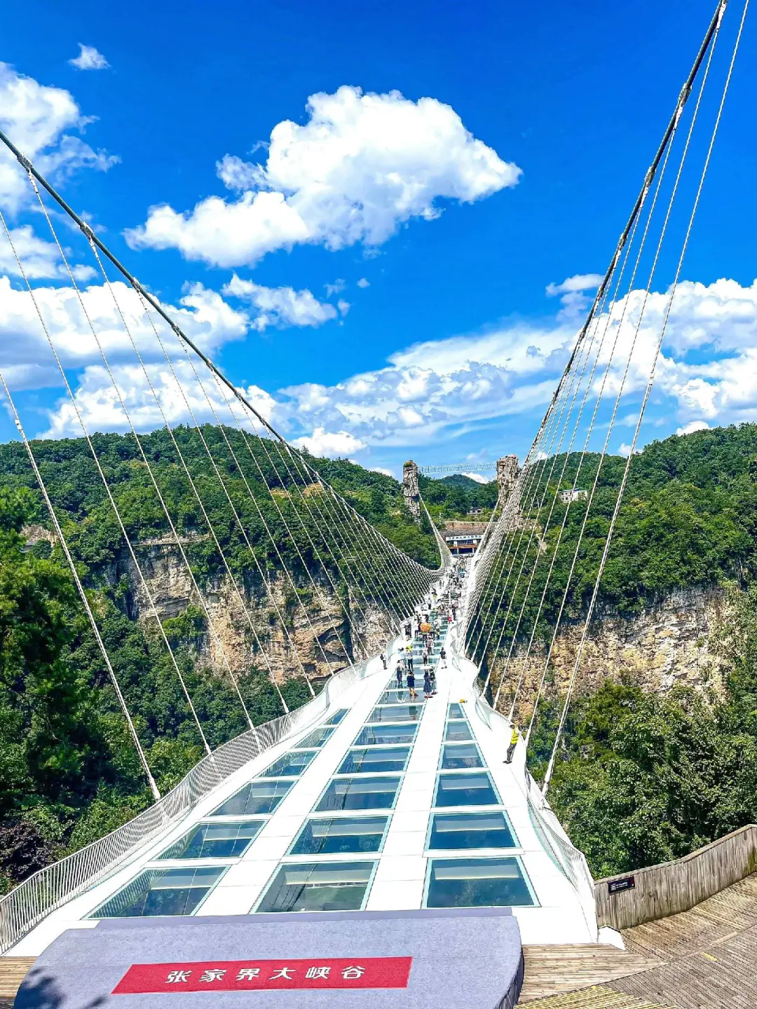 张家界及周边必玩景点Top8!仙境打卡全攻略