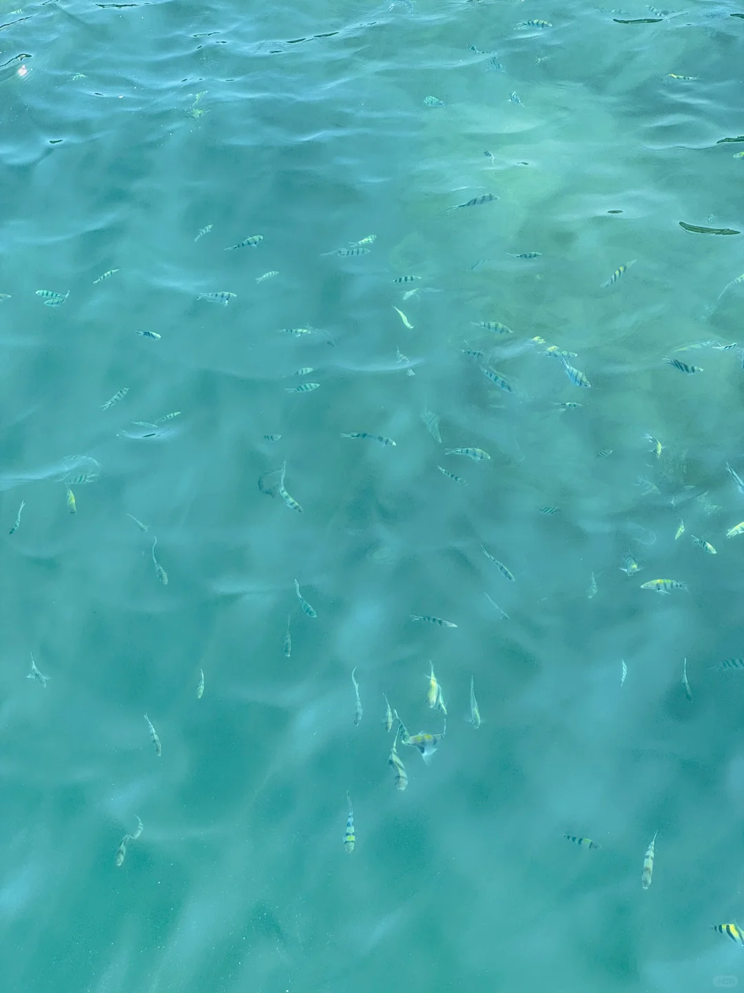 三亚4天3晚…被自己做的攻略满意哭了🥹