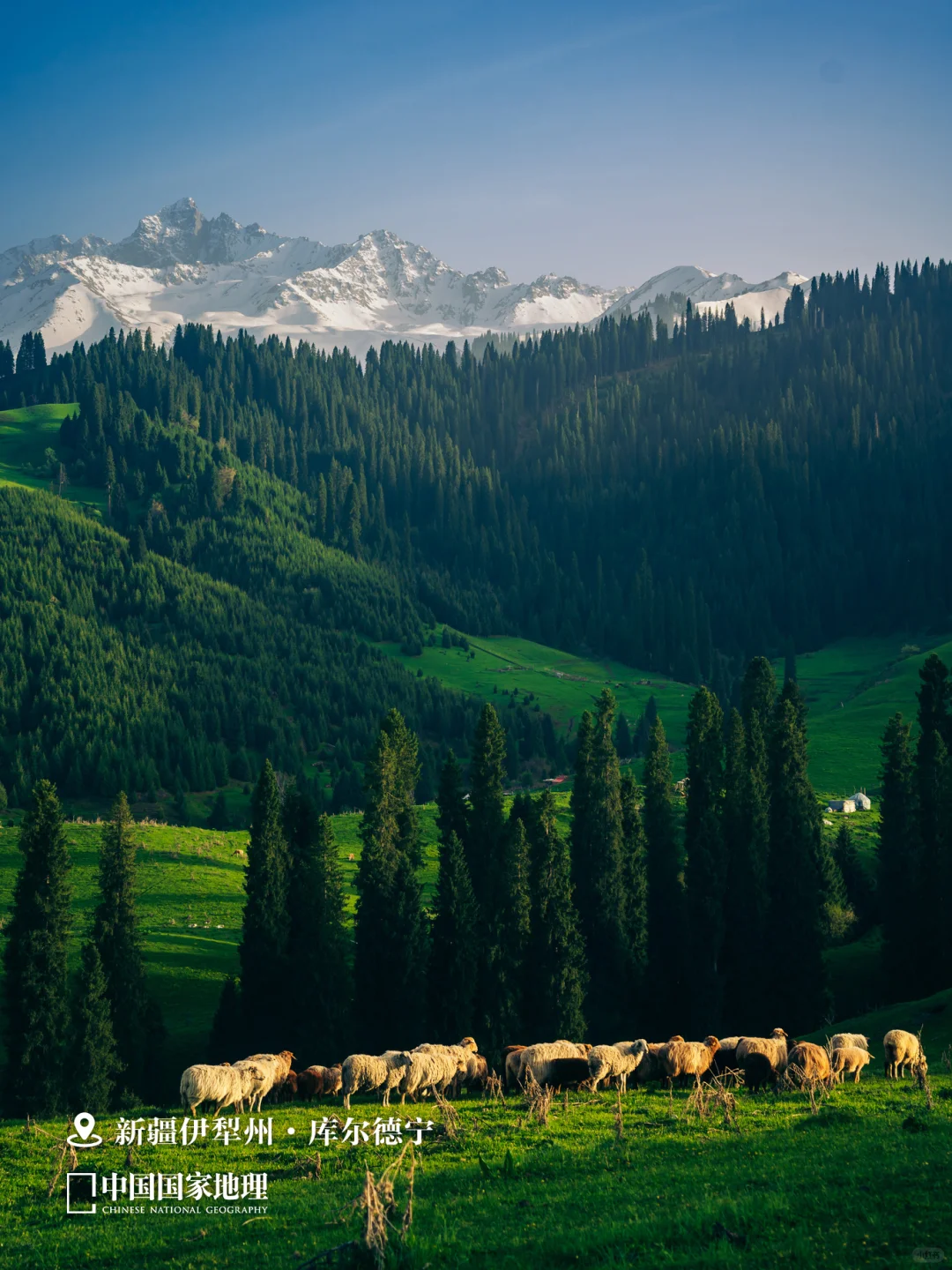 🔈今天,就应该放假!!!