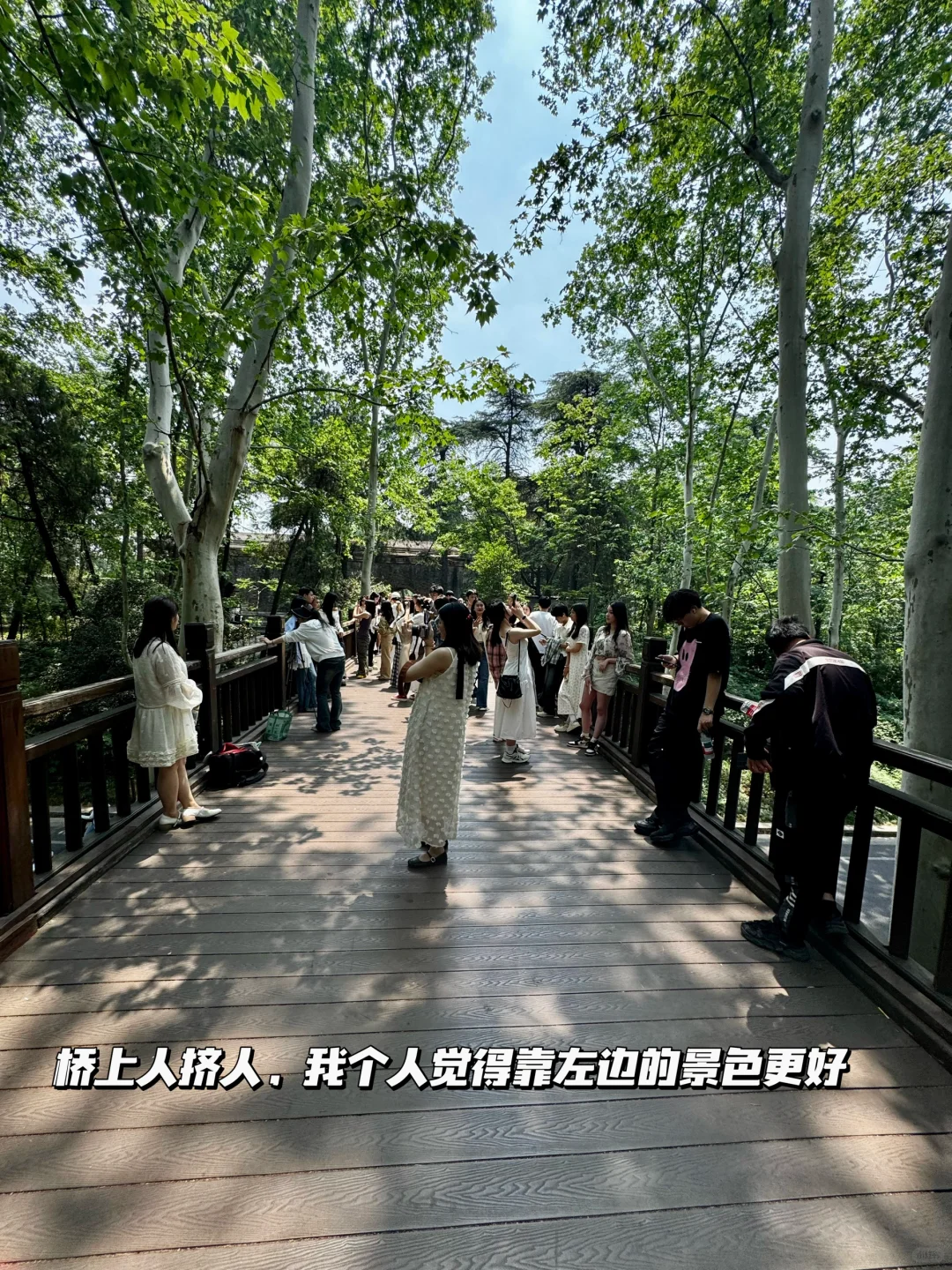 南京梧桐大道网红桥打卡路线指南（步行版）