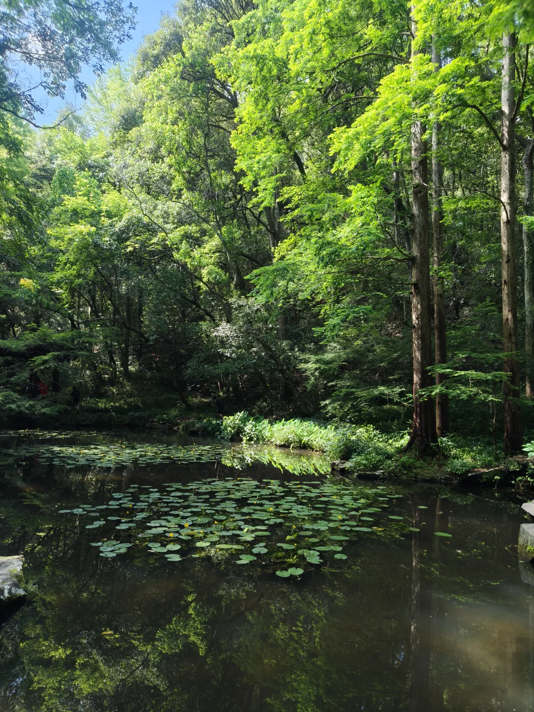 CP难民的藏剑技能打卡之旅(上)