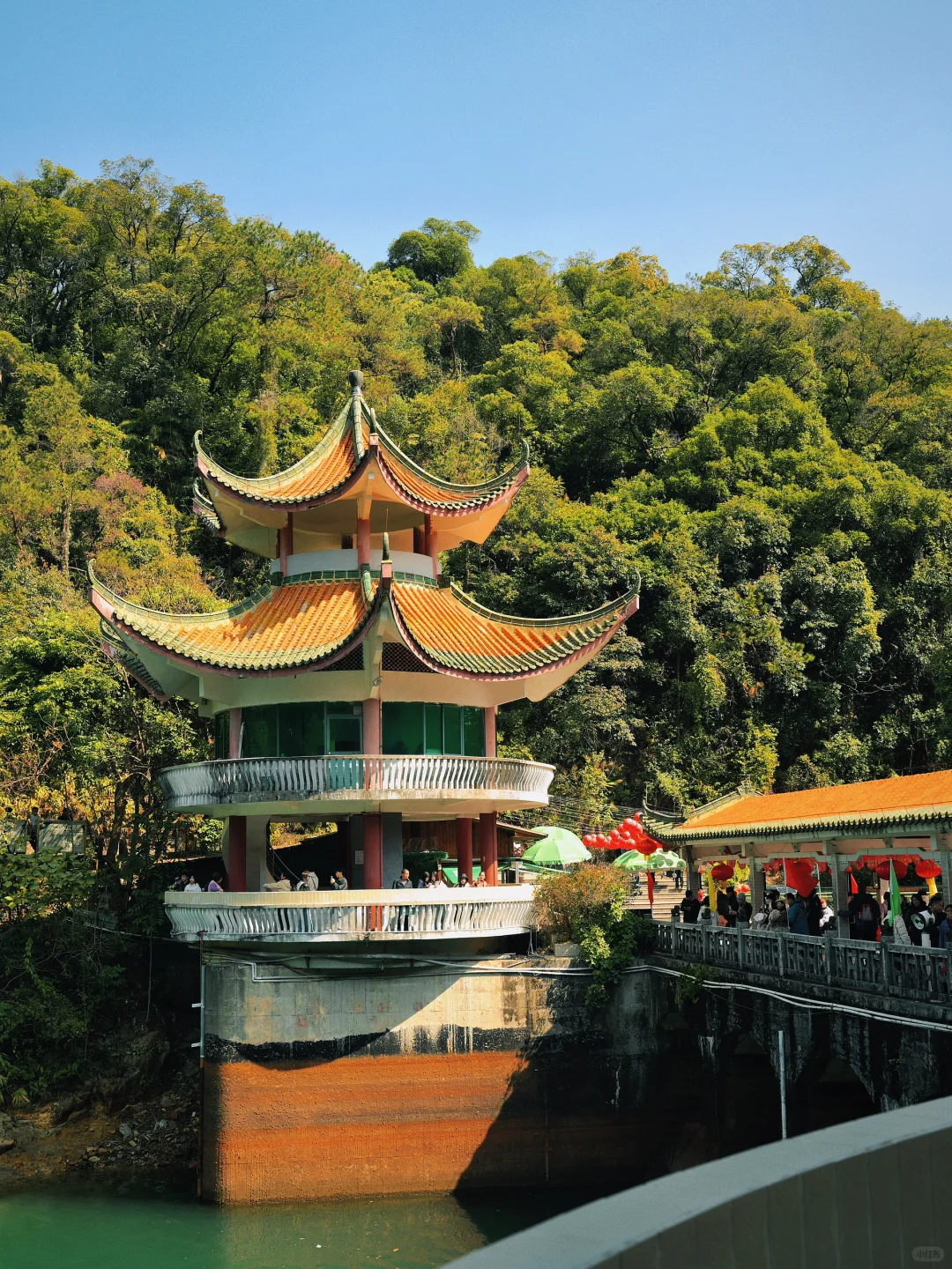 肇庆鼎湖山真的美到我心巴上了（省钱攻略！）