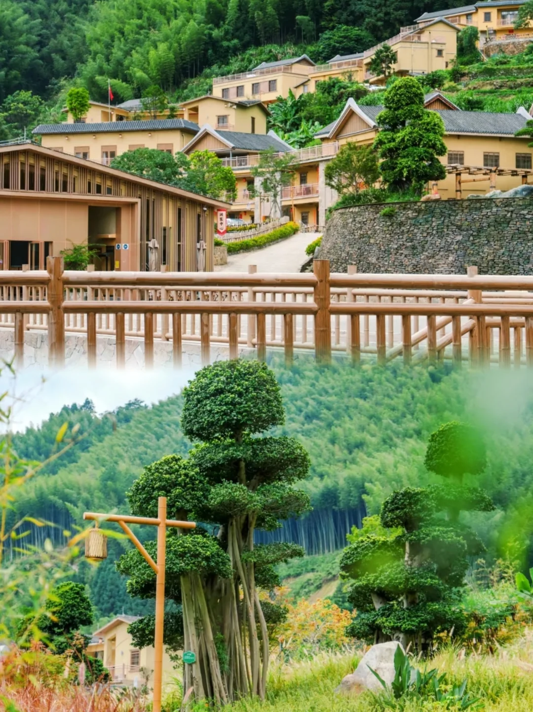 在广东发现了一个藏在竹海里的绝美世外桃源